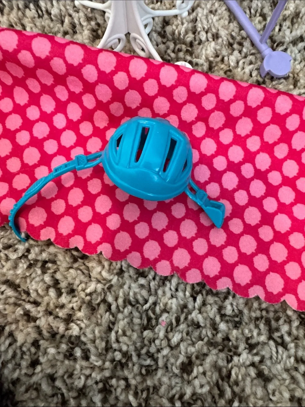 Barbie Doll with Accessories